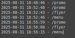Log file snippets showing raw entries.